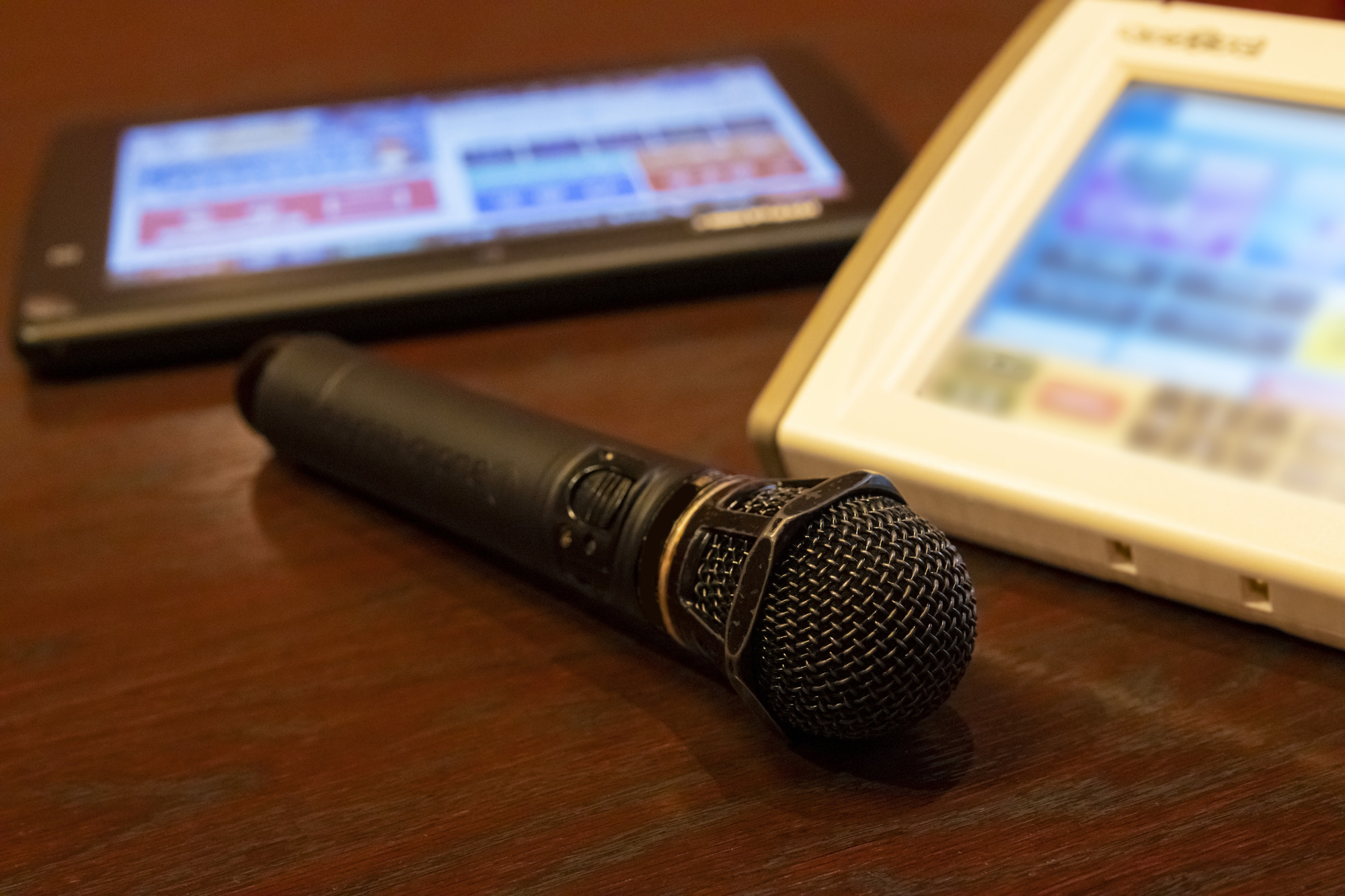 「部屋にカラオケ付きホテル」が東京で人気の理由